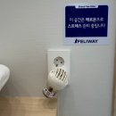 낭만고양이병원 이미지