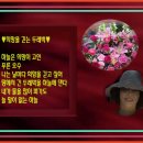 박대회 작품 이미지