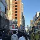 나라몰투어 | 소소버스투어 오사카 교토 나라 1일 투어 만족 후기