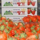 맑은나라 이미지