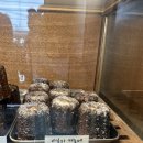 연남 리틀빅토리 후기ㅣ연남 존맛 디저트 맛집, 구움과자 맛집