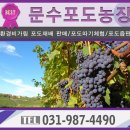 문수농장 2 이미지