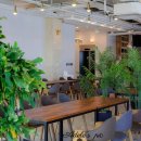 그리가다 이미지