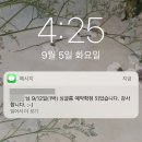세화여인숙 | 지난여름 제주 이야기~(숙소를 알아보자!)