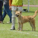 관평1로 이미지