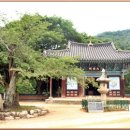 능  실 이미지
