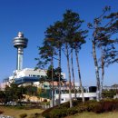 왕숙천로 이미지