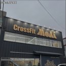 크로스핏 모아이 이미지