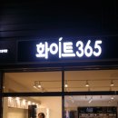 화이트365 이미지
