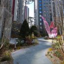 원주반곡초등학교 이미지