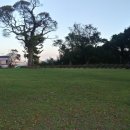 서귀진지 이미지