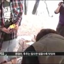 참신푸드 이미지