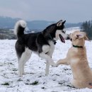 장현 동물병원 이미지