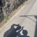 스마트재활일터 이미지