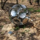 신혜정 둥근소리 이미지