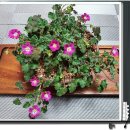 김해 남명문화제 이미지