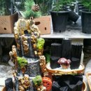 꽃나라화원 이미지