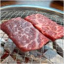 황소식당 이미지