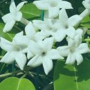 우리약업사 이미지