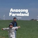 꿀돈농장 네이버블로그