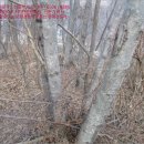 재포주유소 이미지