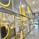 중앙동155 | 안산 고잔동 돈까스 맛집으로 추천하는 숨은 맛집 돈카츠석 후기