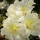 두꺼비농장 이미지