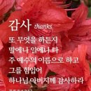 IMA: 스테이블코인(USDT, USDC) 과 OES는 어떤 상관 관계가 있는지를 AI에게 답을 구해보았습니다. 2026.09.03.목 이미지