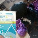 에코펫케어 이미지