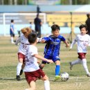 인제천연잔디구장 이미지