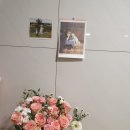 꽃집소피아