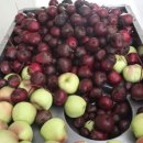 동양건강원 이미지