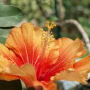 태기농장 이미지