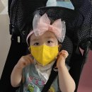 경희대 석사비룡태권도장 이미지