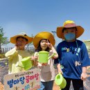 북창초등학교 이미지