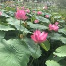 서동공원 네이버블로그
