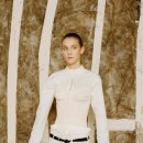 도그레이 이미지