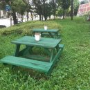 춘천명품 닭갈비 이미지