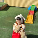 퍼니키즈풀빌라 이미지