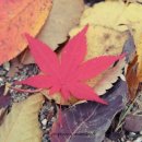 북구 빙상센터 입구 이미지