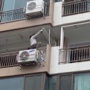 하리보양집 이미지