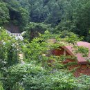 좌구산자연휴양림 이미지
