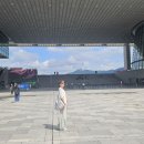 서울 국립중앙박물관 &#39;사유의 방&#39;과 특별전시실 방문 그리고 이태원 베트남 음식 추천 맛집 &#39;플러스84&#39; 시식후기.. 이미지