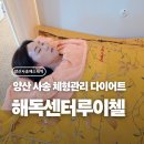 해독센터루이첼