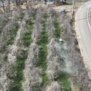 예산군농업기술센터 이미지