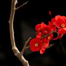 안산식물원 이미지