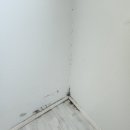 배목수집 | 하계현대2차 29평형 내돈내산 인테리어(도배, 마루, 주방) 시공 후기 _ feat. 베네코 인테리어