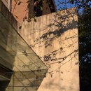 INC빌딩 | 가디 가산 핫플 뷰 맛집 커피 맛집 인크(INC)커피 내돈내산 후기