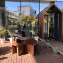 월하 정동 이미지