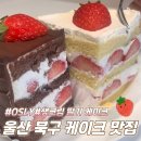 무룡고등학교 | 울산 북구 케이크 맛집 오슬리 내돈내산 추천 후기 생크림 딸기 케이크